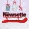 The Newsette Profile