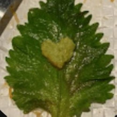 Destination Sweet Eats Profile