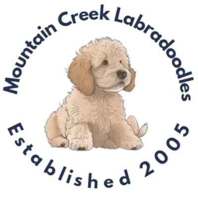 Mountain Creek Labradoodles