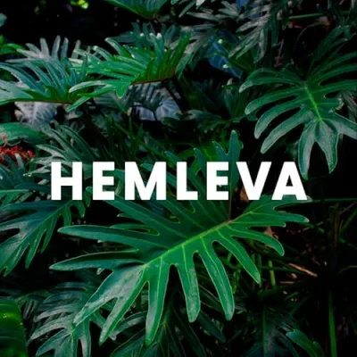 HEMLEVA