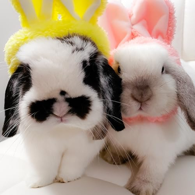 Bobo Ellie Buns Profile