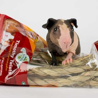 Santa Barbara Skinny Pigs Profile