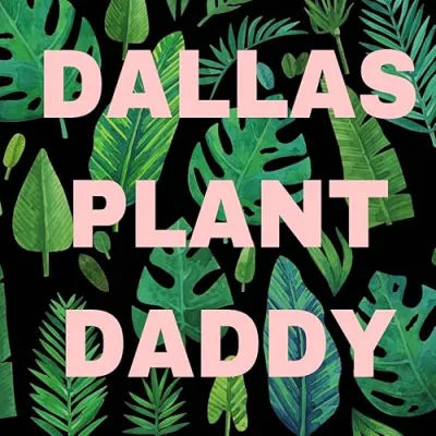 Dallas Plant Daddy