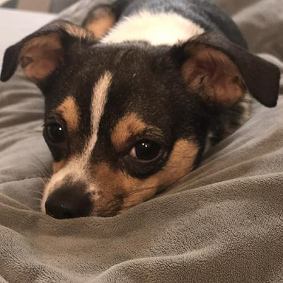 Tucky Favorites! Profile