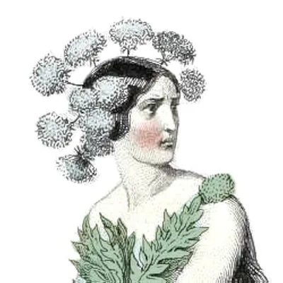 Hemlock House Studio