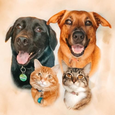 Grizzly, Kona, Tuna and Mahi Profile