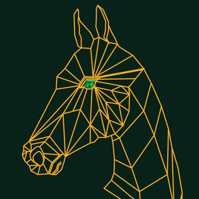 AKHAL TEKE HORSES Profile