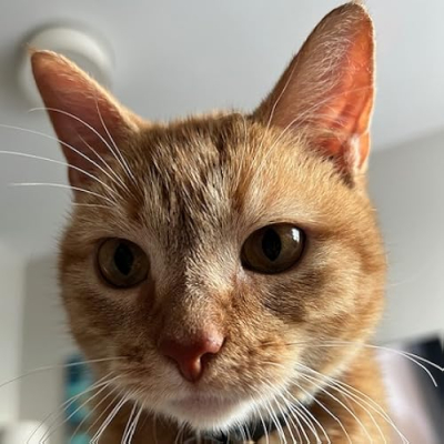 Cala & Elizabeth Profile