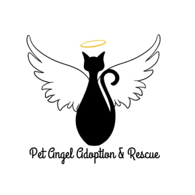 Pet Angel Adoption & Rescue Profile