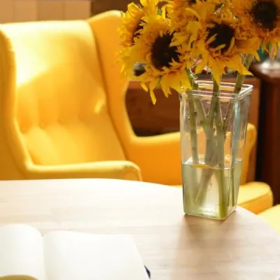 Tiny Ray of Sunshine