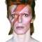 David Bowie Real Store