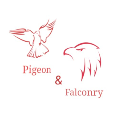 Pigeon and falconry Profile
