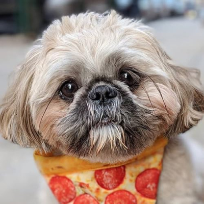 Potato McTater's Favorite Things Profile