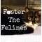 Foster The Felines Profile