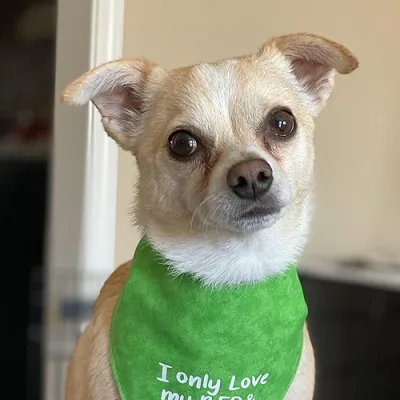 Nash’s suggestions