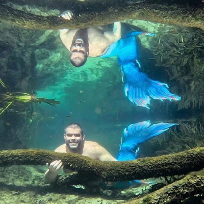 Mike D'Angelo Profile