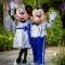 Disney World Packages -Orlando Florida Profile
