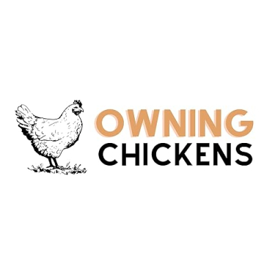 Owning Chickens Profile