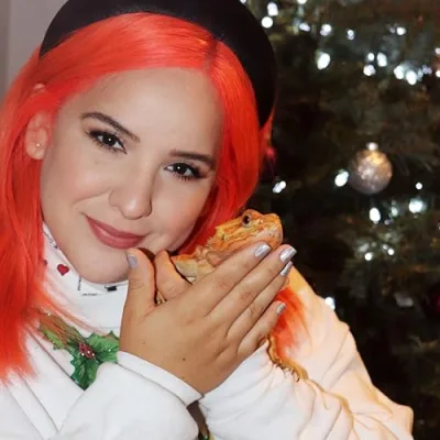 Train Your Dragon Co.