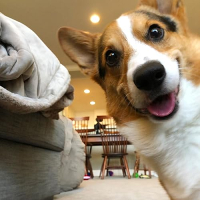 VlogAfterCollege Gear Profile