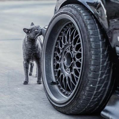 ryan fullerton Profile