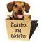 Beagles & Bargains Profile