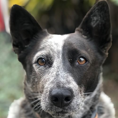 Penny’s Store Profile