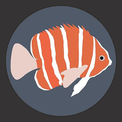 Boylei Hobby Things Profile