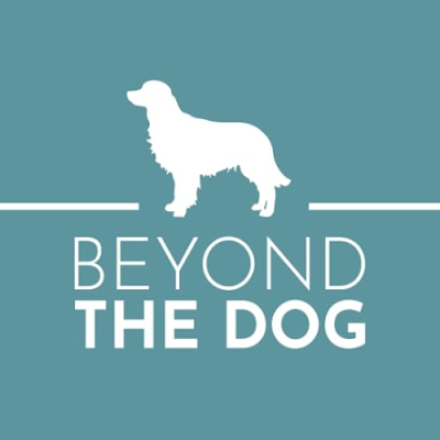 Beyond the Dog Training Profile