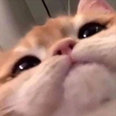 squewe