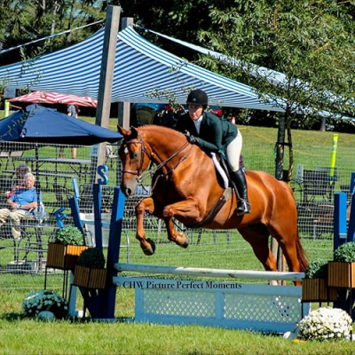 Grand Slam Equestrian, L.L.C. Profile