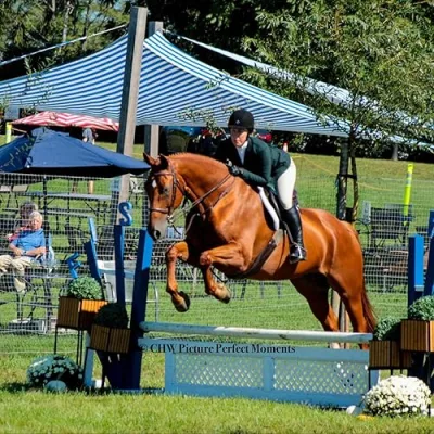 Grand Slam Equestrian, L.L.C.