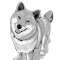 My First Shiba Inu Profile