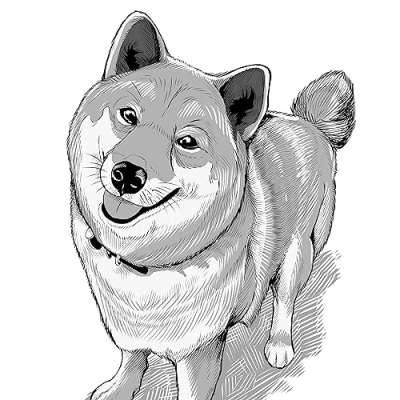 My First Shiba Inu Profile