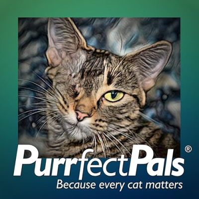Purrfect Pals ® Profile