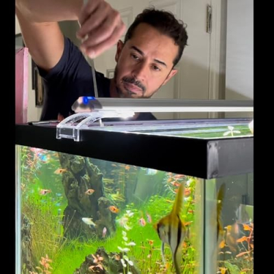 The Cheap Planted Aquarium Selection Profile