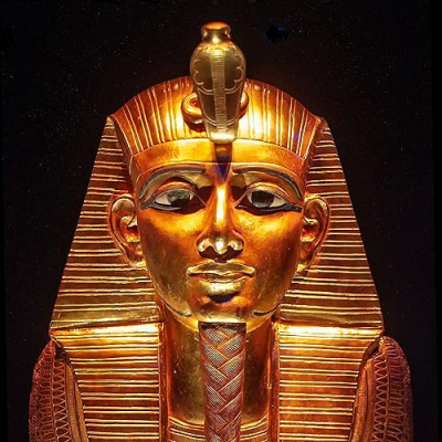 The Alien Shop Profile