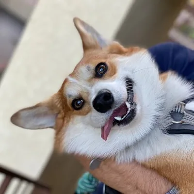 Mango & Jessica's Recs