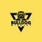 Bulldog Mindset