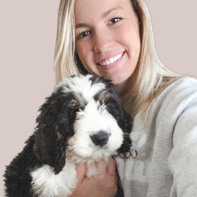 Country Lane Bernedoodles Profile