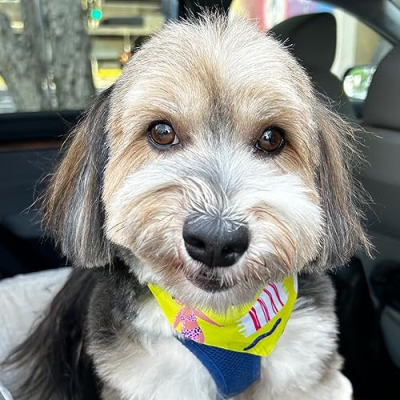 Joyful Living Ventures Profile