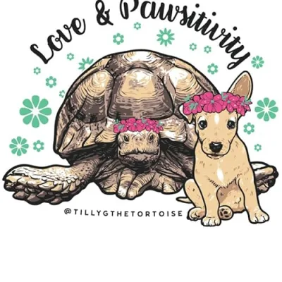 Tilly G's Favorite Stuff