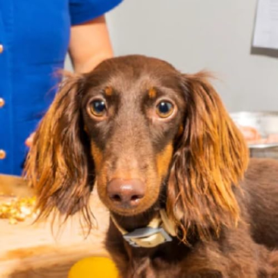 Cooking This Book! Profile