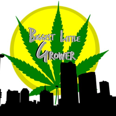Cannabis Grow Guide Profile