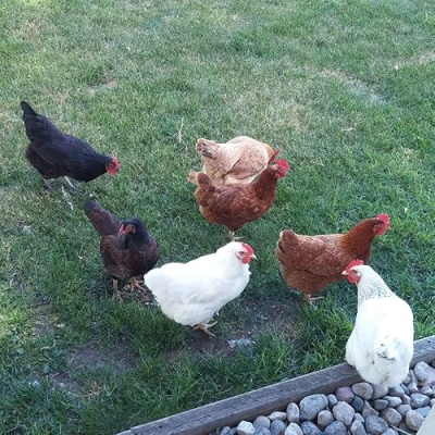 Living Life in Rural Iowa Profile