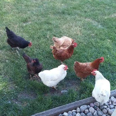 Living Life in Rural Iowa