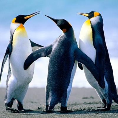 Lakshay sharma Profile