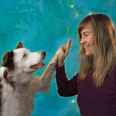 The Dog Vlog - Janet Laidlaw Profile