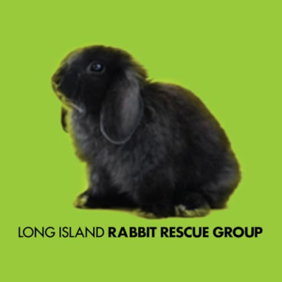 Long Island Rabbit Rescue Group Profile