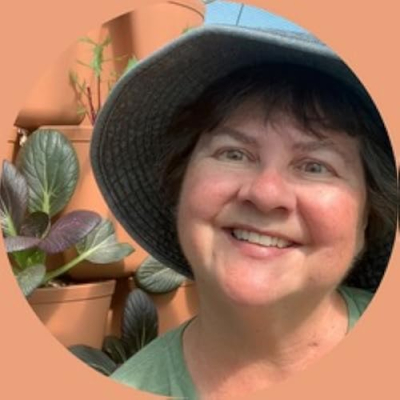 Modern Desert Homestead Profile